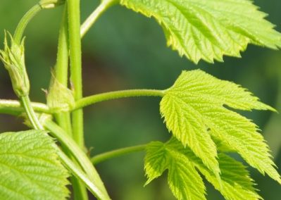 Dienstag 23.05.2023, Vortrag: Anhaltende Erschöpfung, Stimmungstief und Depression